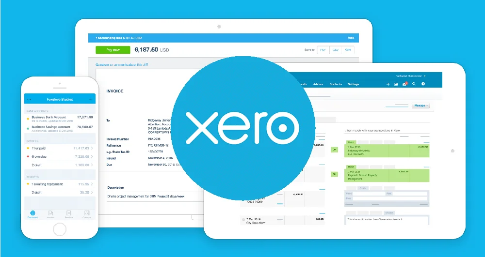 Xero Best Accounting Software for Small Retail Business